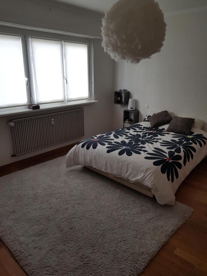 Joli Appartement Calme Et Spacieux, Proche Strasbourg Duppigheim Exterior foto